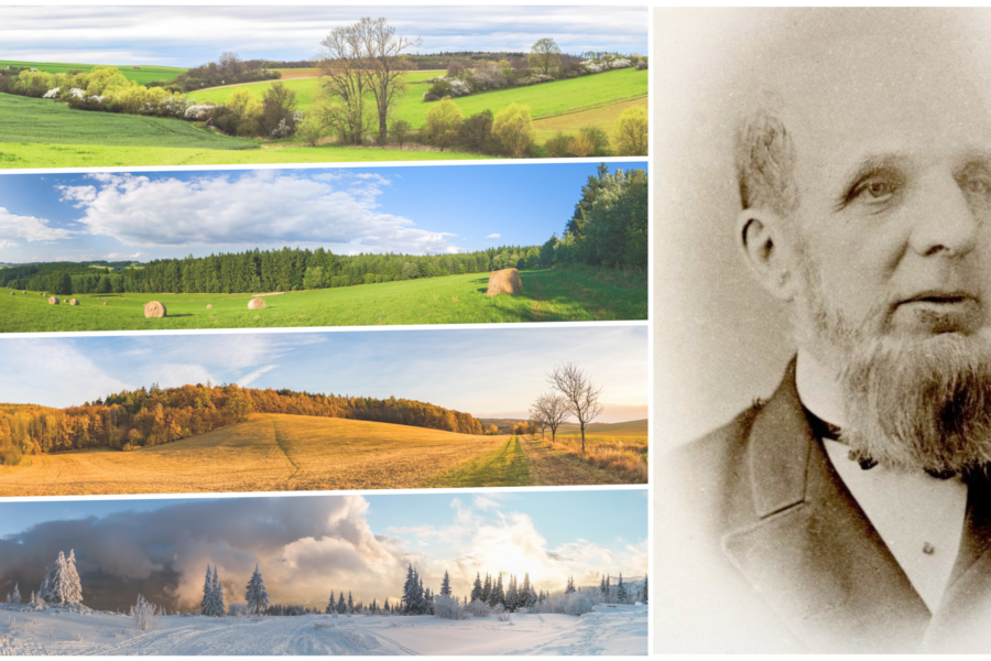 IL CALENDARIO POLLINICO – storia e importanza